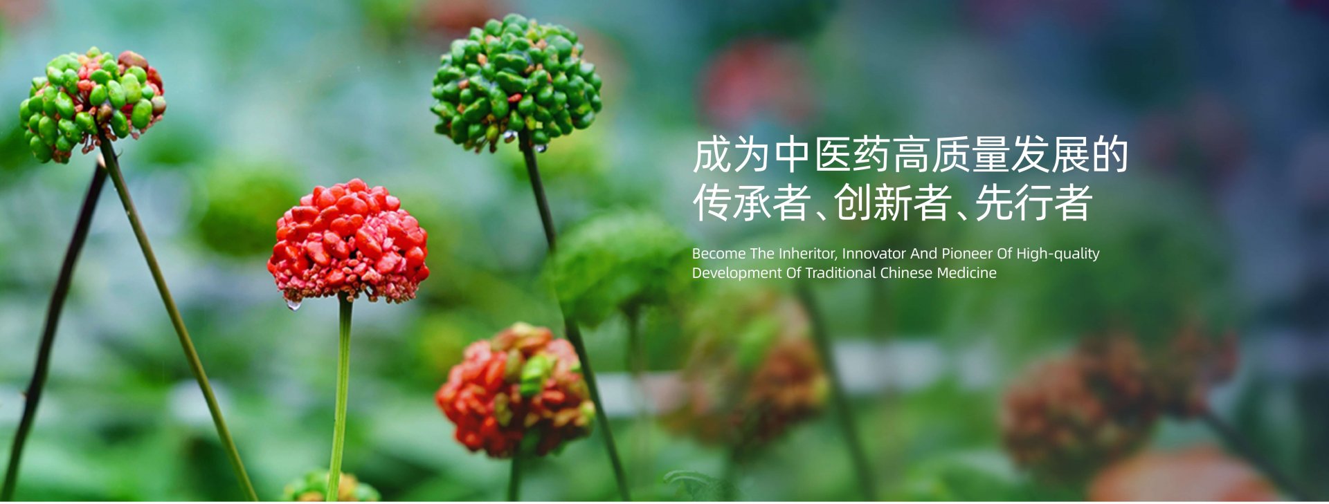 自1902年问世以来