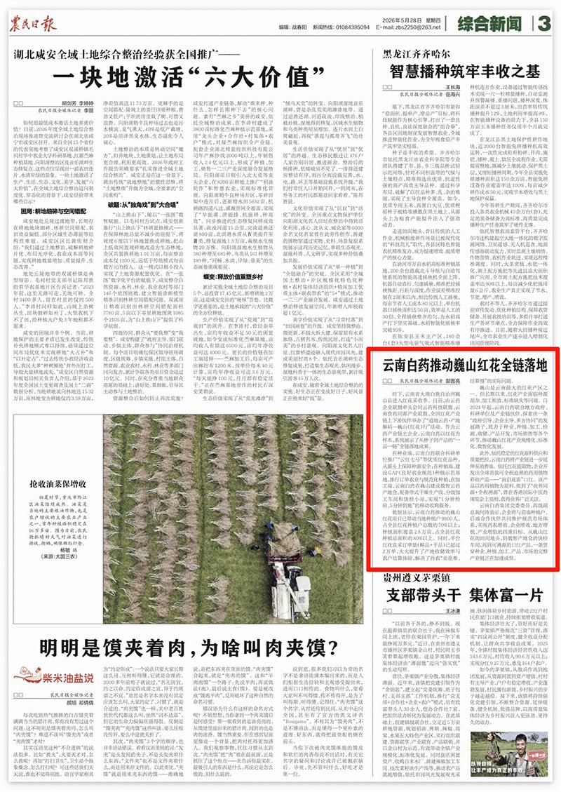栏目用于追新