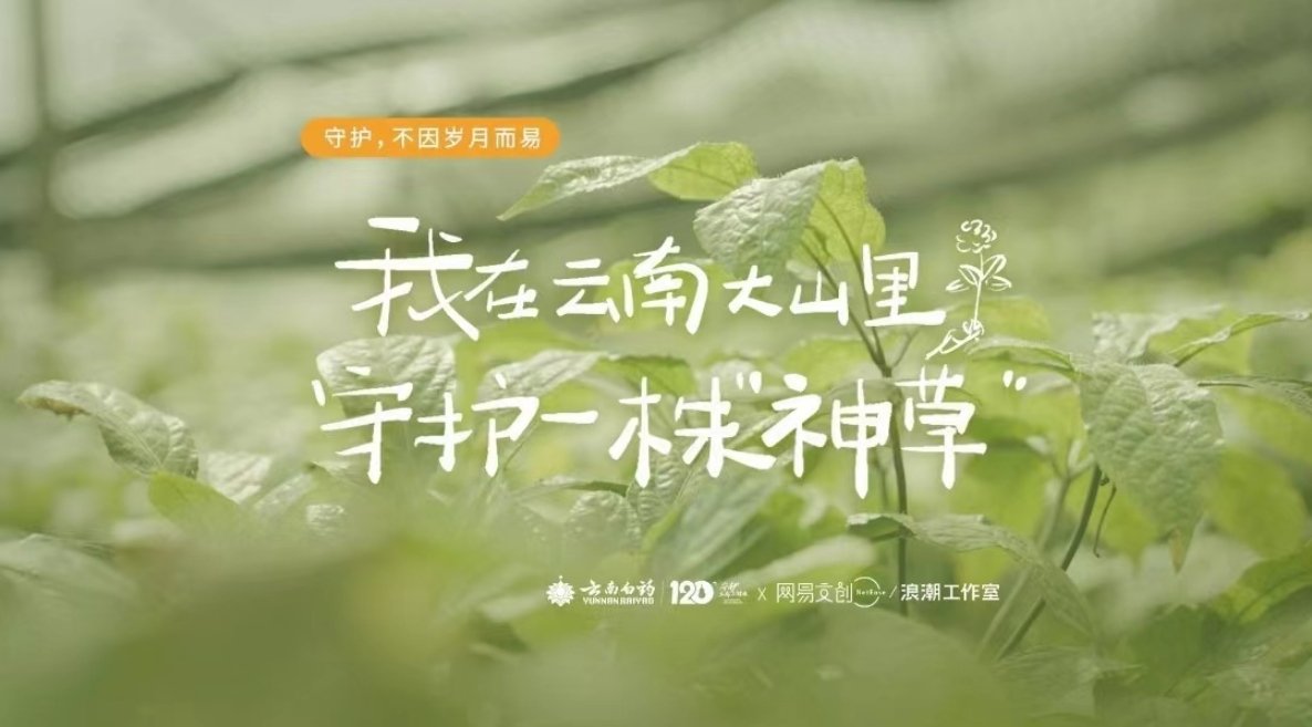首页 · auto · 12 · 3